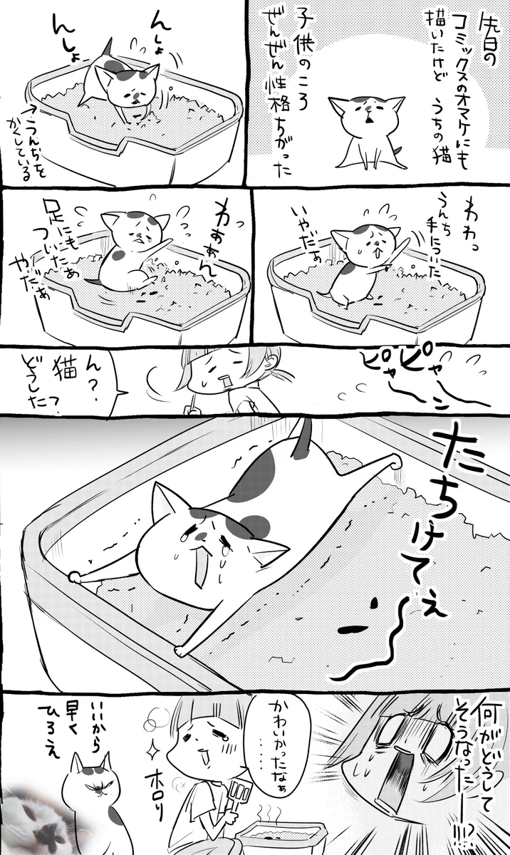 犬と猫のトイレ事情がとても面白いwwwそれぞれ個性豊かで可愛すぎるwww