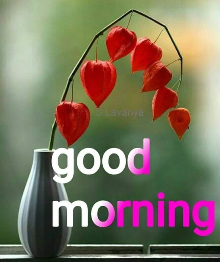 Открытки с добрым утром на английском языке мужчине. Why good morning. Открытки good morning мужчине. Why good morning. Гуд монинг открытки.