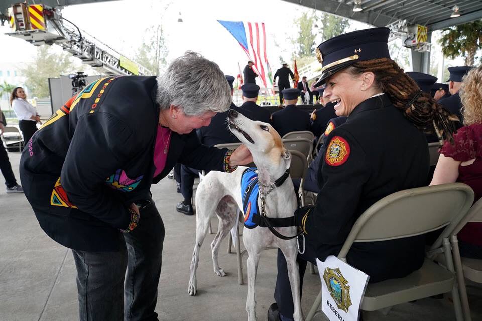 MiamiDadeFire's tweet photo. Today, #MDFR recognized personnel who exemplify outstanding commitment toward the fire service & go above & beyond their ordinary call of duty during the 2019 #MDFRMedalDay ceremony.
Congratulations to all honorees! 👏 #AlwaysReadyProudToServe
📸: https://t.co/L0rf9kcNxw https://t.co/G5He0IioZm