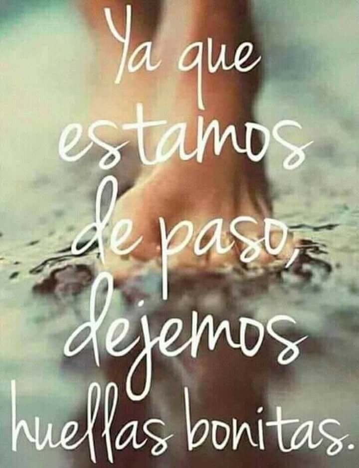 toachings's tweet photo. Ya que estamos de paso, dejemos huellas bonitas 👣 

Since we are passing, let's leave beautiful traces 👣

#goodness #kindness #values #commitment 
#heartedness #warmheartedness, #tenderheartedness #goodwill, #warmth #gentleness #tenderness #concern #care https://t.co/6L7SvBTJ4i