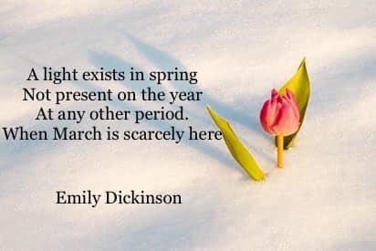 We are one week away from our first event of 2019! Here is a little representation of the inspiration behind Chef Cody’s vegan dinner #Palette2019. Link for tickets in bio.