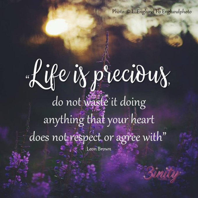 eldiablo0786's tweet photo. @TehaniMott @Nikhil63870659 @plazmuh111 @LisaTruthJohns @roamingpiscean @gerrinnesmac @rajeev_s108 @Voieinterieure @1228erin @AngeLtongue @alexdomelle @mysticwolf14 @loveGoldenHeart @mukulnandi1972 @pkamla1 @FashionAvenueUS @Chrissychatt @arunbhar @BabyGo2014 @PrachiMalik @DianneD03113533 @purposefulact @coachmekat @marshawright @TayGoofy @Lisandre_Moreau @janisexton @SRuhle @LUTLjerry @crazyems13 @2feelu @Inspireu2Action @BethFratesMD @reeves5150 @KariJoys @LadyWiseWorld @TanRob22 #LIFE IS #PRECIOUS, do not waste it doing anything that your #heart does not #respect or agree with.
#ThinkBIGSundayWithMarsha
#InspireThemRetweetTuesday
#JoyTrain #IQRTG #Love
#LightUpTheLife #LUTL
#SundayMorning
#GoldenHearts
#ShineOn #ChooseLove
#FamilyTRAIN #StarFishClub https://t.co/o5W33N5Iat