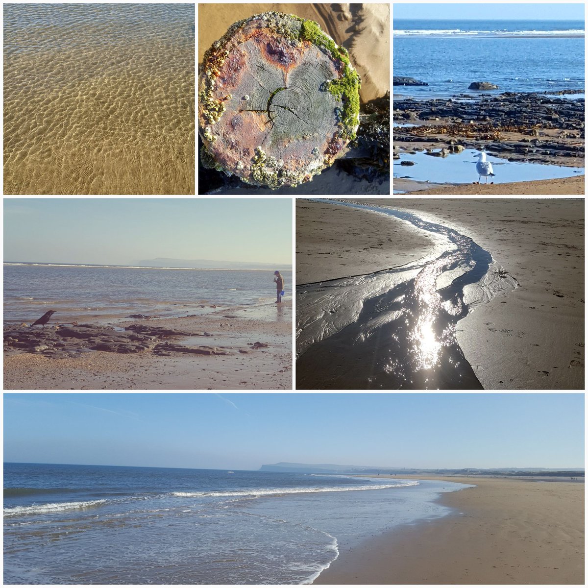 #stephensonsassemble #blog #placesmatter #family #yorkshire #exploreyorkshire #northyorkshire #redcar #freshair #sunshine #seaside