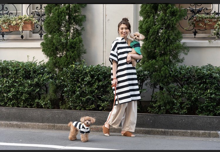 petibuddy's tweet photo. petibuddy  NEW arrival！！

この春、愛犬ちゃんと
お花見🌸コーデしましょん💛

オフィシャルサイト
https://t.co/wy3MTuVTls
オンラインショッピング
https://t.co/CmU6TWLKhx

Instagram
https://t.co/dsEvMt2inZ https://t.co/xwqKjfMIxn