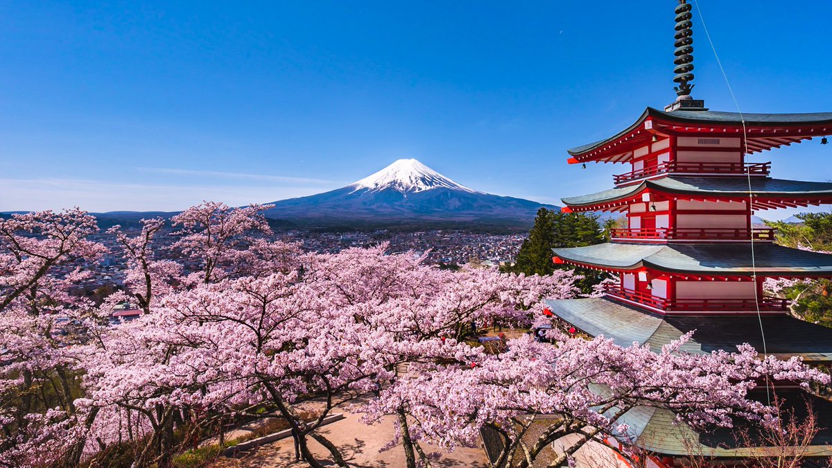 梶原そうた 富士山写真 病み上がりなので1日遅れで1枚だけですが 富士山 の写真と言ったら やっぱりこれかな 普段は混んでる所にはいかないけど ここだけは地元の意地 で必ず毎年行って満開の桜を撮ってます 富士山の日 富士山 桜 五重塔