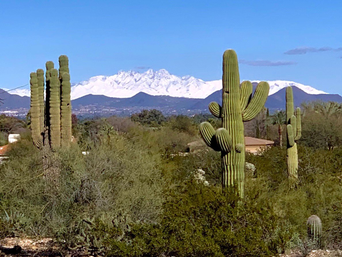 AnthonyWanger's tweet photo. Beautiful day in The Arizona desert.  Four Peaks mountains covered in snow while the valley was clear and crisp.   #photography #AZ #Phoenix 
cc: ⁦@NWSPhoenix⁩ ⁦ https://t.co/ivA2aLpR7C