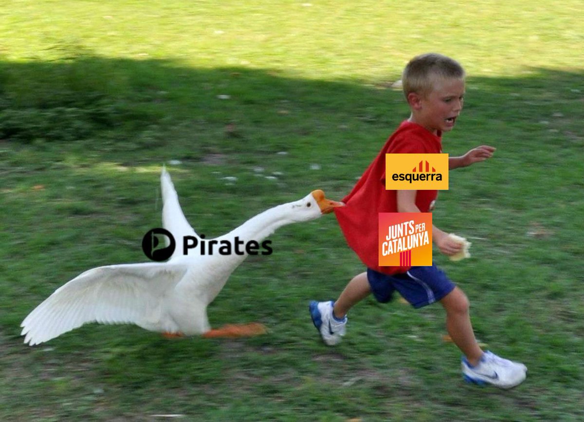 Pablyzz's tweet photo. El que passarà a Catalunya si el @partit_pirata es presenta a les eleccions #FAQSstrubelTV3 https://t.co/vxK4AgdJ4X