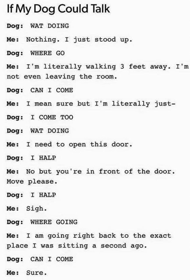 Cool X Dogs🦴 tweet media