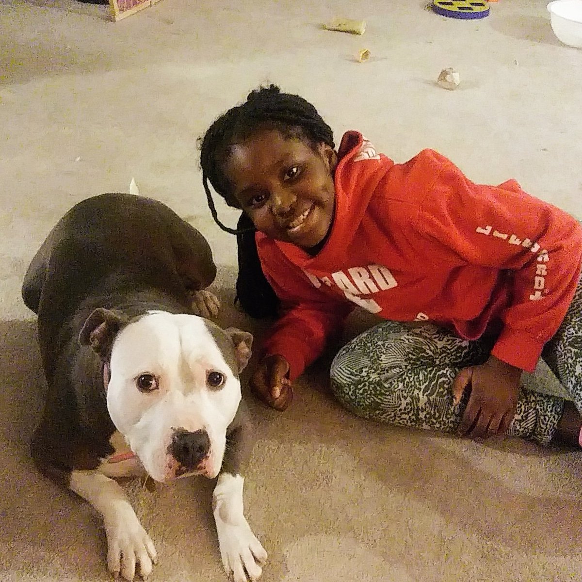 ChibuisiC's tweet photo. Rainy days my favorite ways. So i spent the evening with Megan and Mia #Saturday #jaja #family #pitbullsofinstagram #pitbreed #pitbulls #pitbullpride https://t.co/zEJIBrZaIm