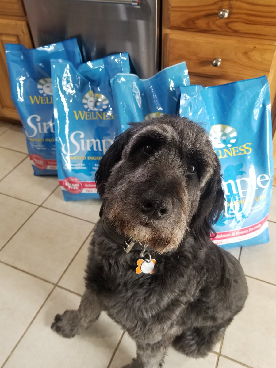 Momz got my favorite food on sale! She says I haz to share wif my sisters but I don't wanna. Heckin' no!
<a href="/wellnesspetfood/">Wellness Pet Food</a> #wellnesssimple #ilovemyfood #salmon #itsmyfood 
#imnotsharing