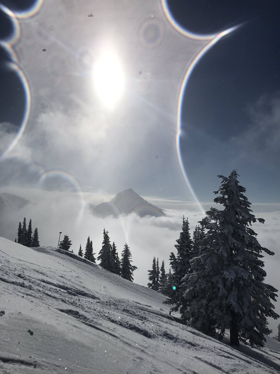 Anna Segal tweet media