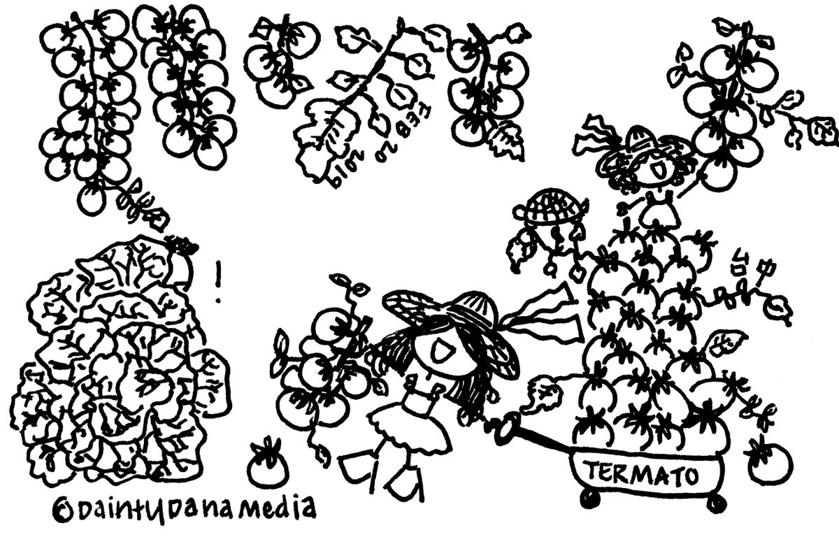 danayter's tweet photo. Everybody jump on the tomato/termato wagon! 🍅🍅🍅 #tomatoes #tomatopicking #greenhouse #Isaytomato #Taichung #Taiwan #travel #farmgirl #farmhat #doodle #artist #doodleart #inkonpaper #illustrator #illustration #cartoon #comic #artontwitter https://t.co/l59tsuLzUR