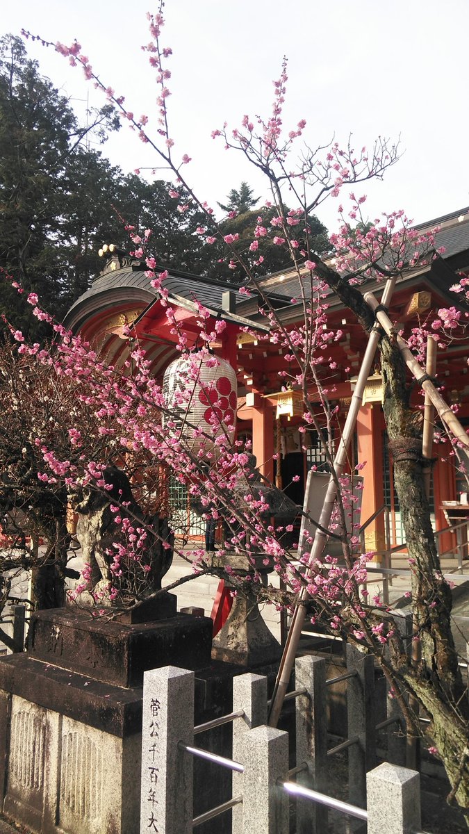 長岡天満宮 長岡天満宮