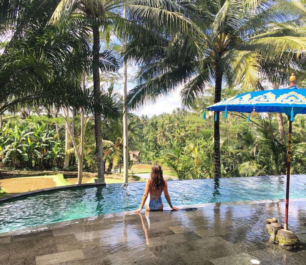 bluekarmasecret's tweet photo. The first rays of the sun have just arrived, it is now time to get the right energy. ππ
#Bali #baliguide #baliisland #balitravel #ubud #ubudbali #ubudhotel #ubudlife #exploreubud #baliholiday #baliexplore #balipool #balisun #enjoybali https://t.co/X96tyECWzv