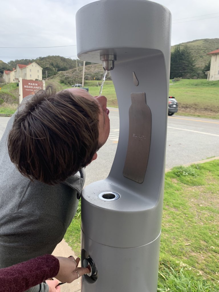 Not sure about these new drinking fountains?