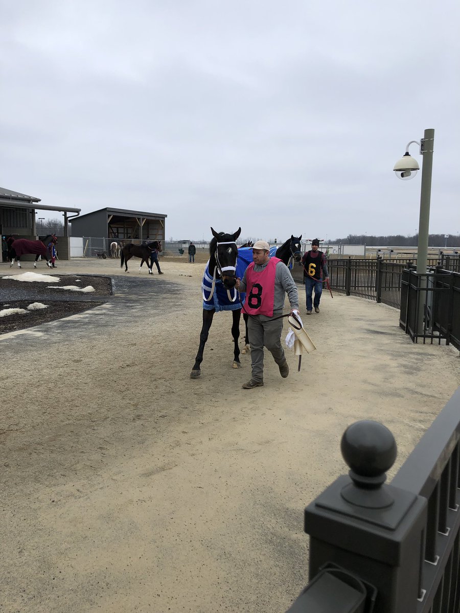 JeannetteMacur1's tweet image. #8 John Paul Jones Won in Race 8 at Mahoning Valley&amp;amp;#3 R C Jones Placed. I liked both of these Horses &amp;amp; was going to bet both across the board, but instead bet #3 &amp;amp; #2 Shakin Up The Lute🏇🏇🏇#2lost😏but I Won $45.80 with #3 R C Owens!🏇💰🏇💰🏇