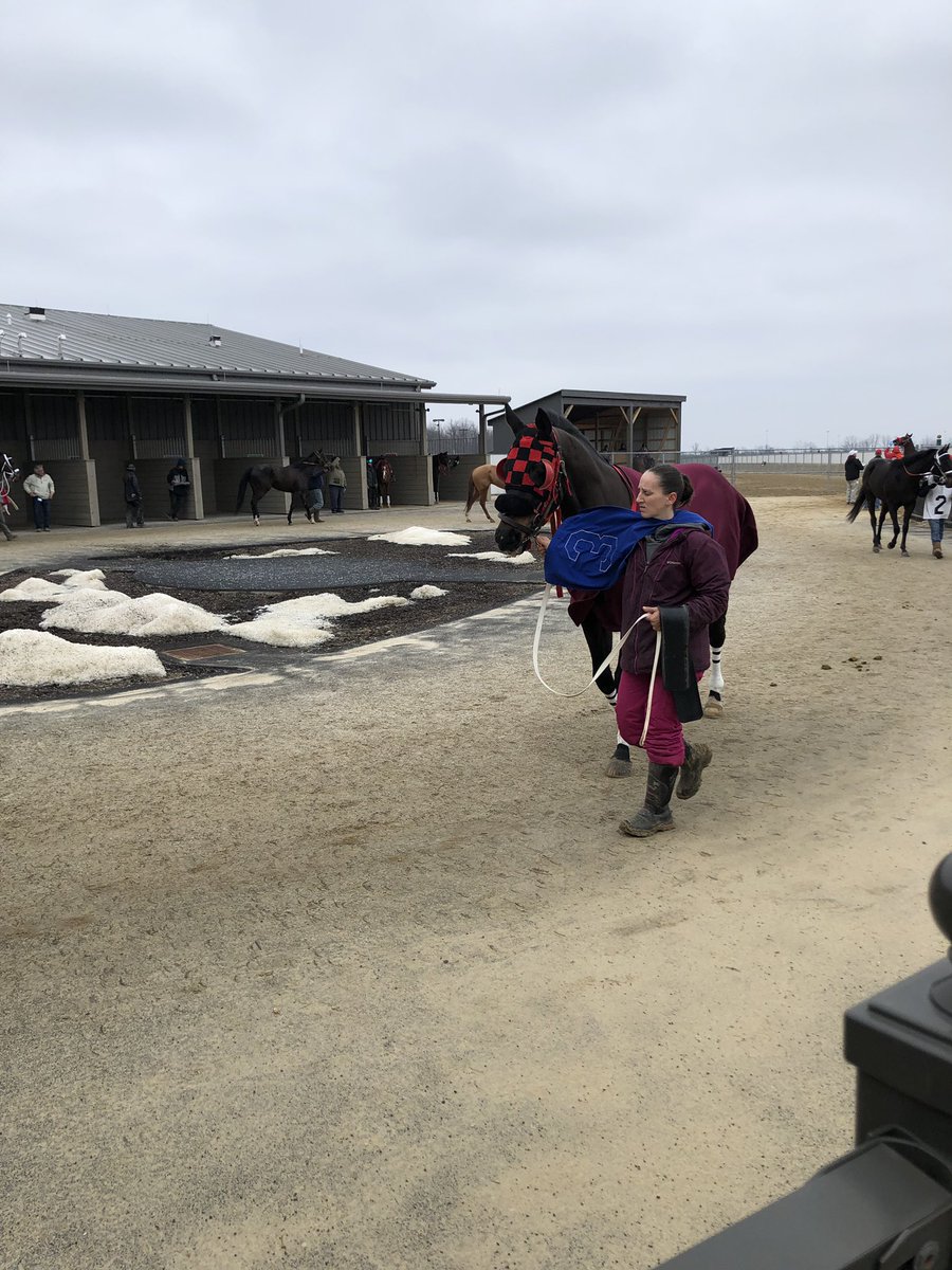 JeannetteMacur1's tweet image. #8 John Paul Jones Won in Race 8 at Mahoning Valley&amp;amp;#3 R C Jones Placed. I liked both of these Horses &amp;amp; was going to bet both across the board, but instead bet #3 &amp;amp; #2 Shakin Up The Lute🏇🏇🏇#2lost😏but I Won $45.80 with #3 R C Owens!🏇💰🏇💰🏇