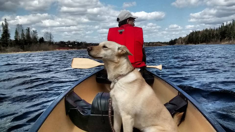 omega64's tweet photo. longing for these days again... https://t.co/0le36YODrn