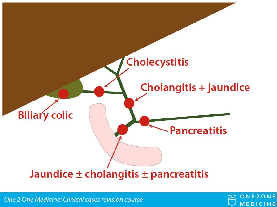 One 2 One Medicine tweet media