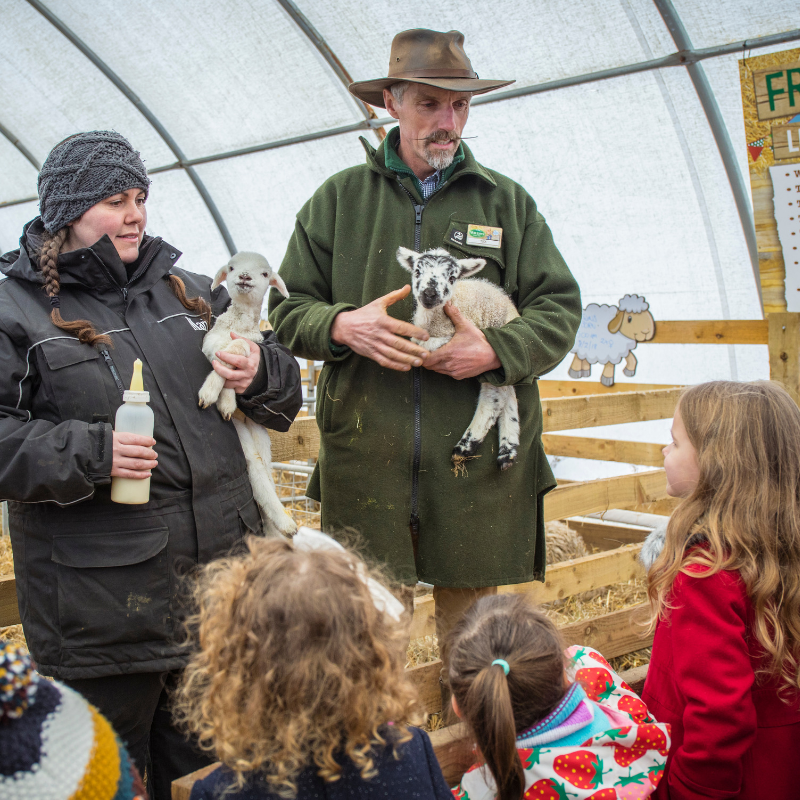 Make the most of the last day of #halfterm and treat the kids to a fun-filled day out. We have teamed up with Visit Herts to give you a little inspiration on what to do this February break bit.ly/2sUy7OM