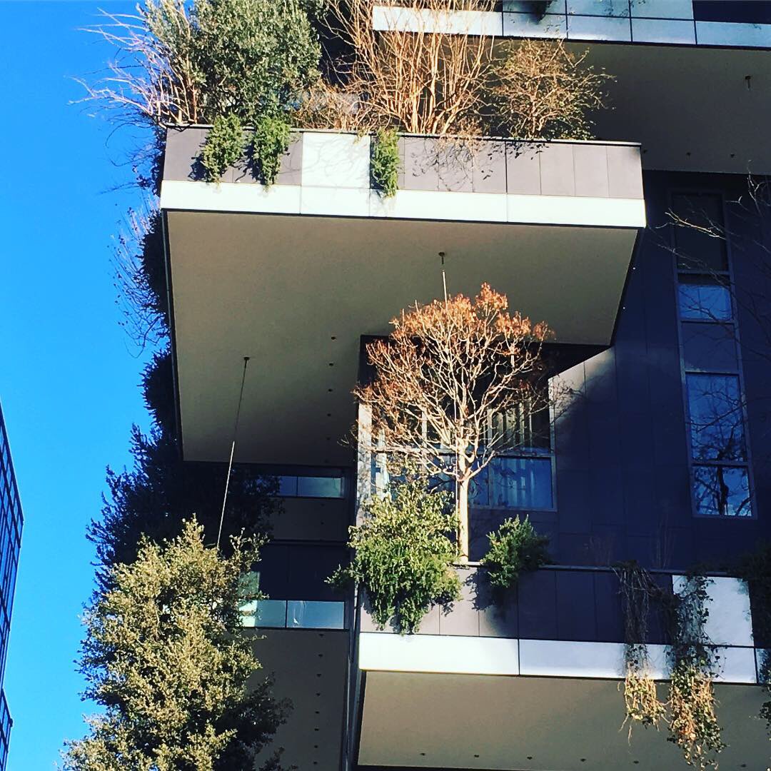 I am back in Amsterdam, but I have still got some pictures from last week in the modern area of Milan that blew my mind #boscoverticale #skyscraper #trees #details #sunnyday