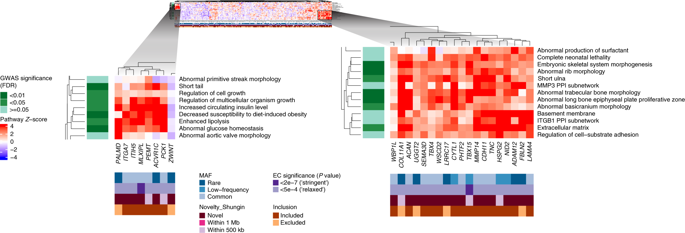 BioDecoded's tweet photo. Protein-coding variants implicate novel genes related to lipid homeostasis contributing to body-fat distribution | Nature Genetics
https://t.co/l3PCWTGsHm
#genomics #BodyFatDistribution https://t.co/byGF6Vkgfo