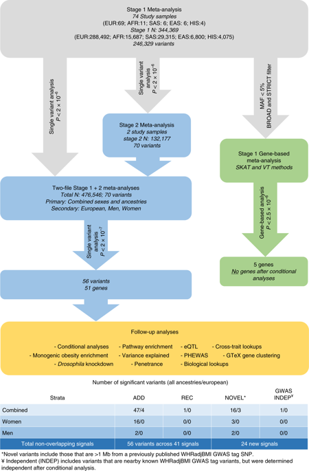 BioDecoded's tweet photo. Protein-coding variants implicate novel genes related to lipid homeostasis contributing to body-fat distribution | Nature Genetics
https://t.co/l3PCWTGsHm
#genomics #BodyFatDistribution https://t.co/byGF6Vkgfo