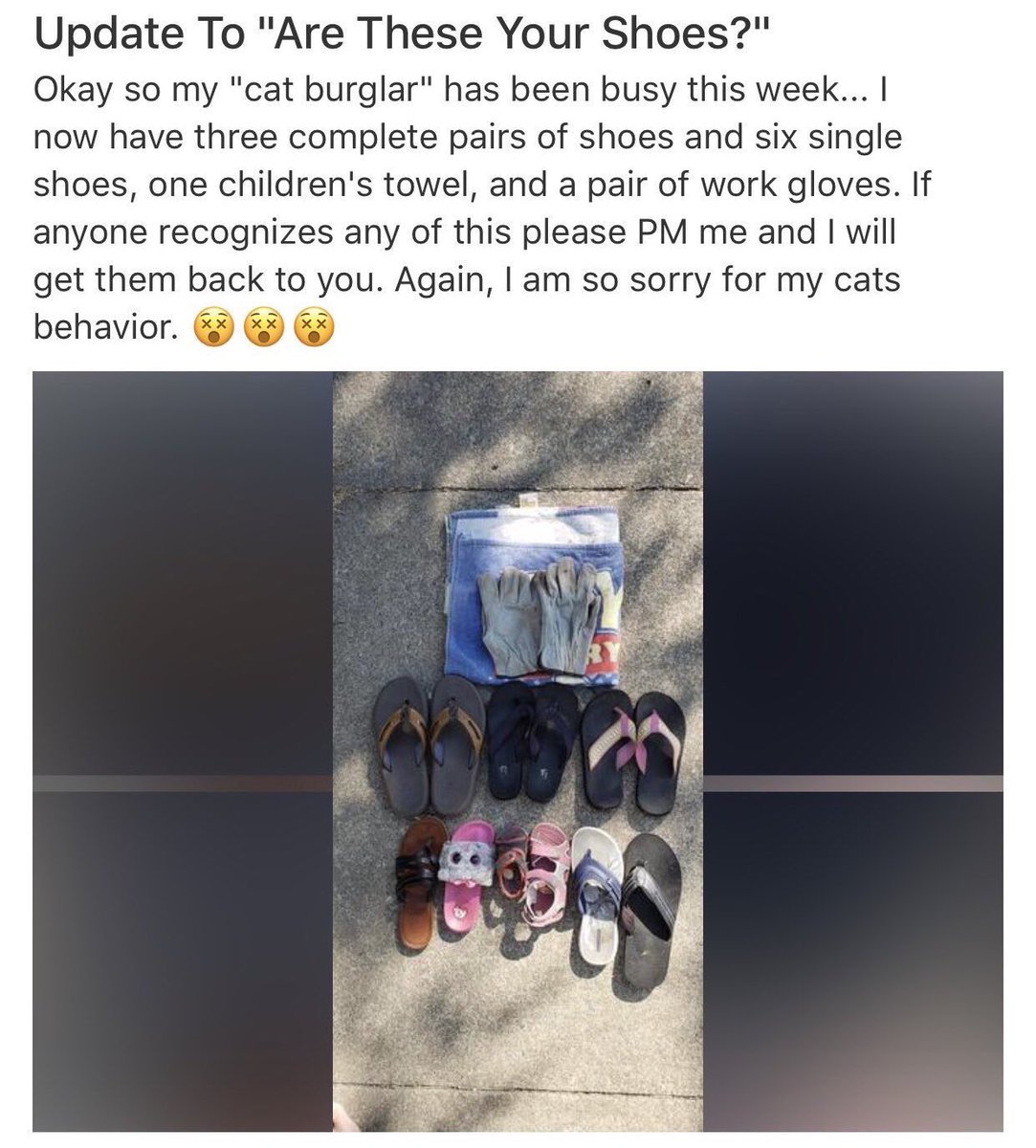 "Again, I am so sorry for my cat's behavior."