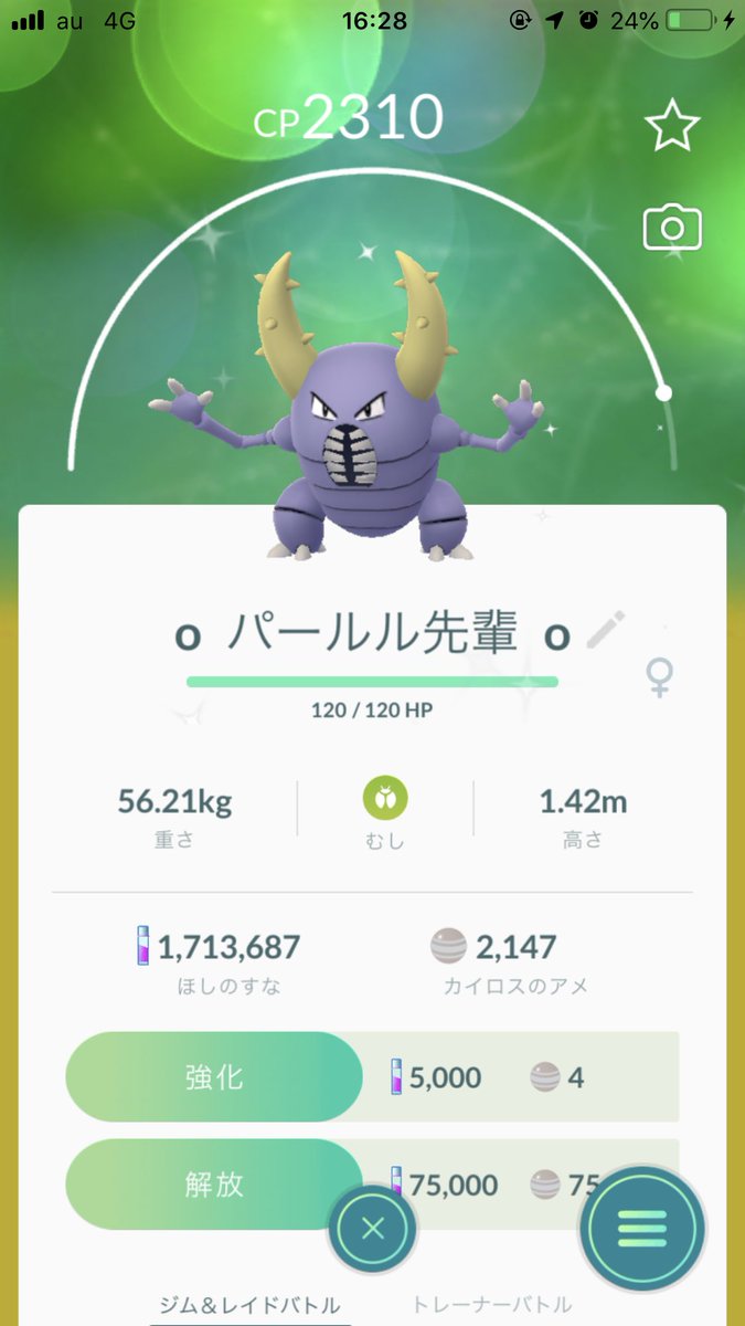 パールル色違い