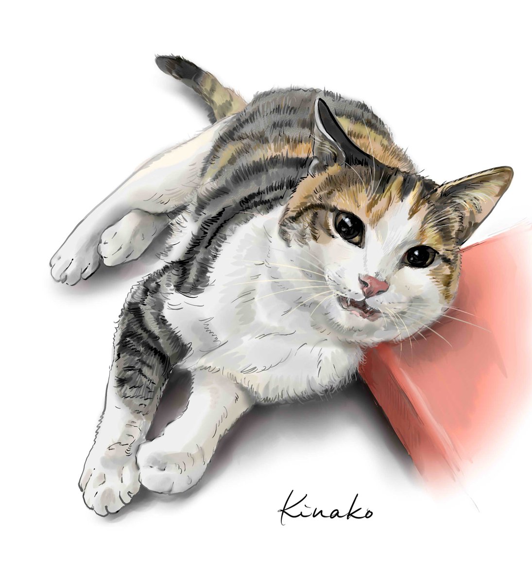 Twitter 上的 きなこ 猫の絵を描いています 野良猫の子猫 三毛猫のハタ 甘えて あんまりかわいいポーズなので イラストで描きました 今日 ブログの方にこれまでに描いたハタの絵をまとめて載せています よろしかったら見てみてください 猫絵 Cat Drawing