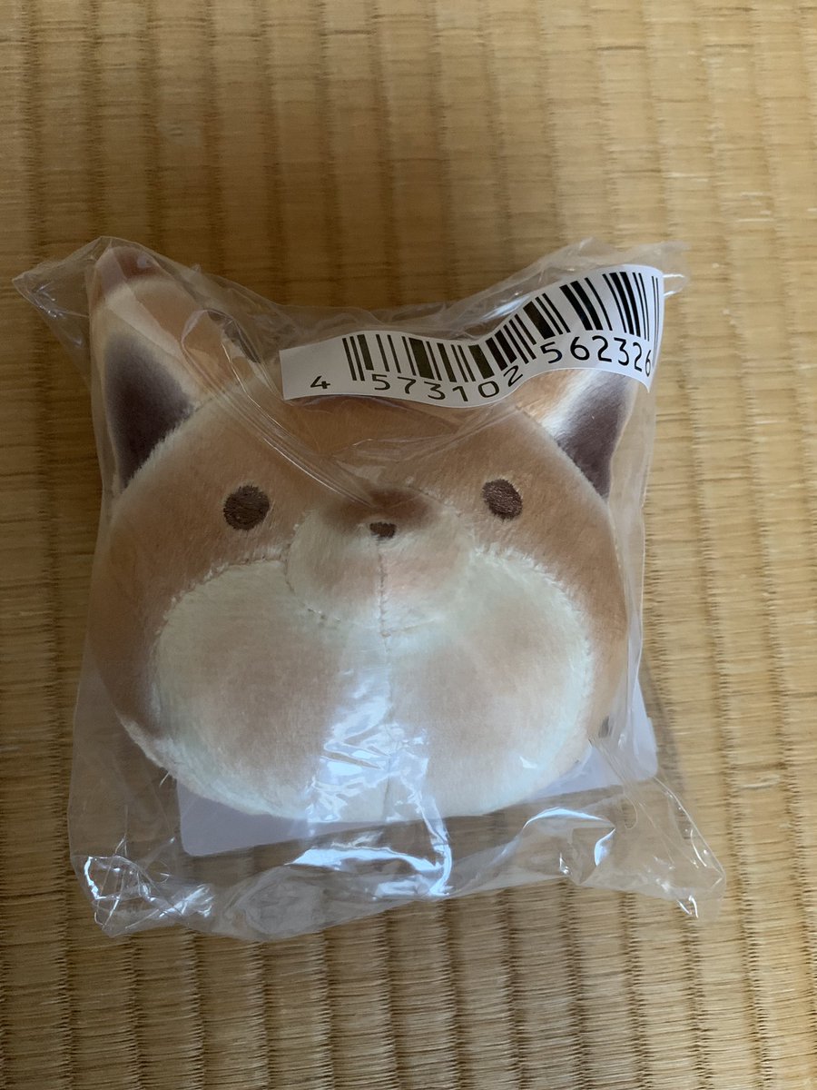 タヌキとキツネ一番くじ