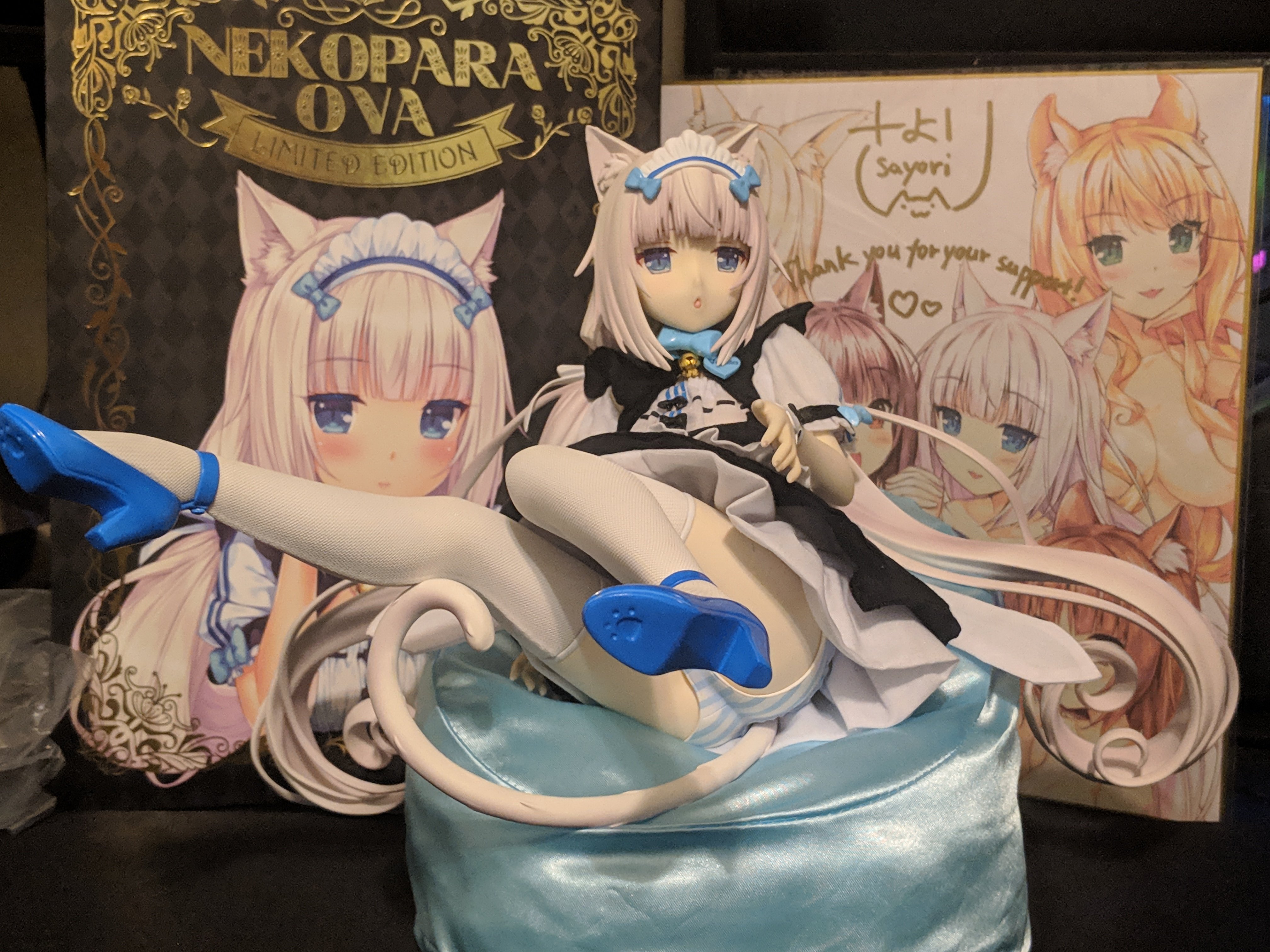 binding nekopara coconut