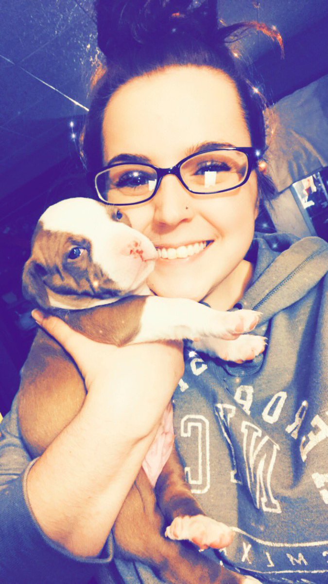 tarynnx's tweet photo. puppy therapy ๐ฅฐ #SaveTheBreed https://t.co/S66fXpbFNR