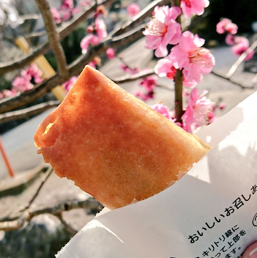そろそろセブンイレブンさんからもイイね欲しいね Hashtag On Twitter