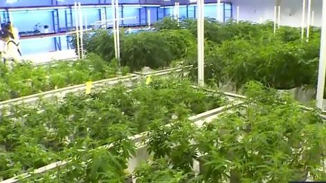 koat7news's tweet photo. Marijuana bill clears another hurdle in House https://t.co/06vCkGeC0q https://t.co/xNk3XGRwbK
