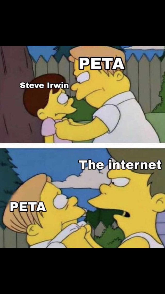 tERINshitup's tweet photo. I’m just sitting back and watching @peta get ripped apart by the internet 🐸☕️ https://t.co/QVSbDCEmD9