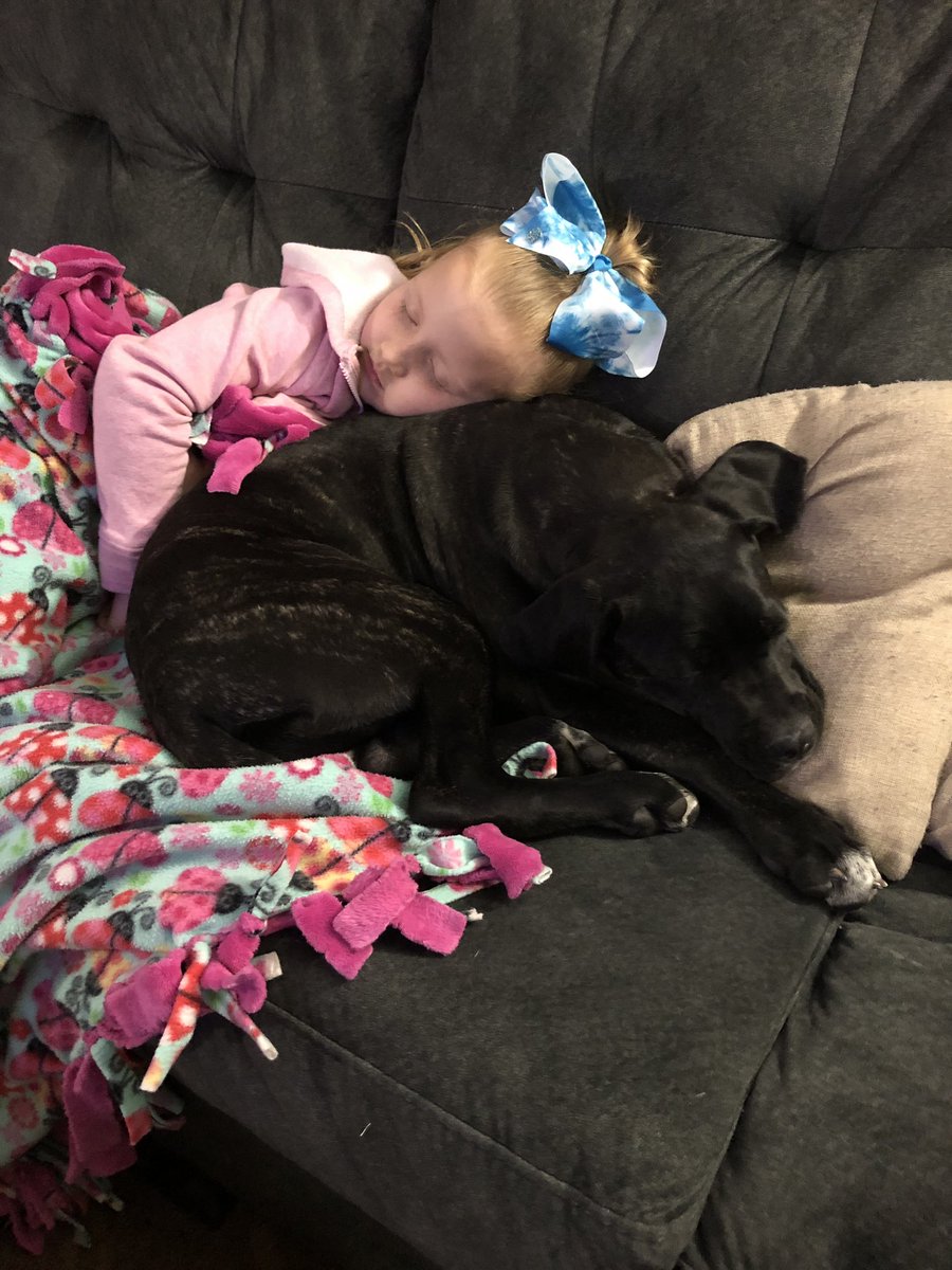 Hooligan_Chad's tweet image. #puppylove #canecorso