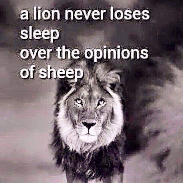 Jazzi Faith (@dr29faith) on Twitter photo 