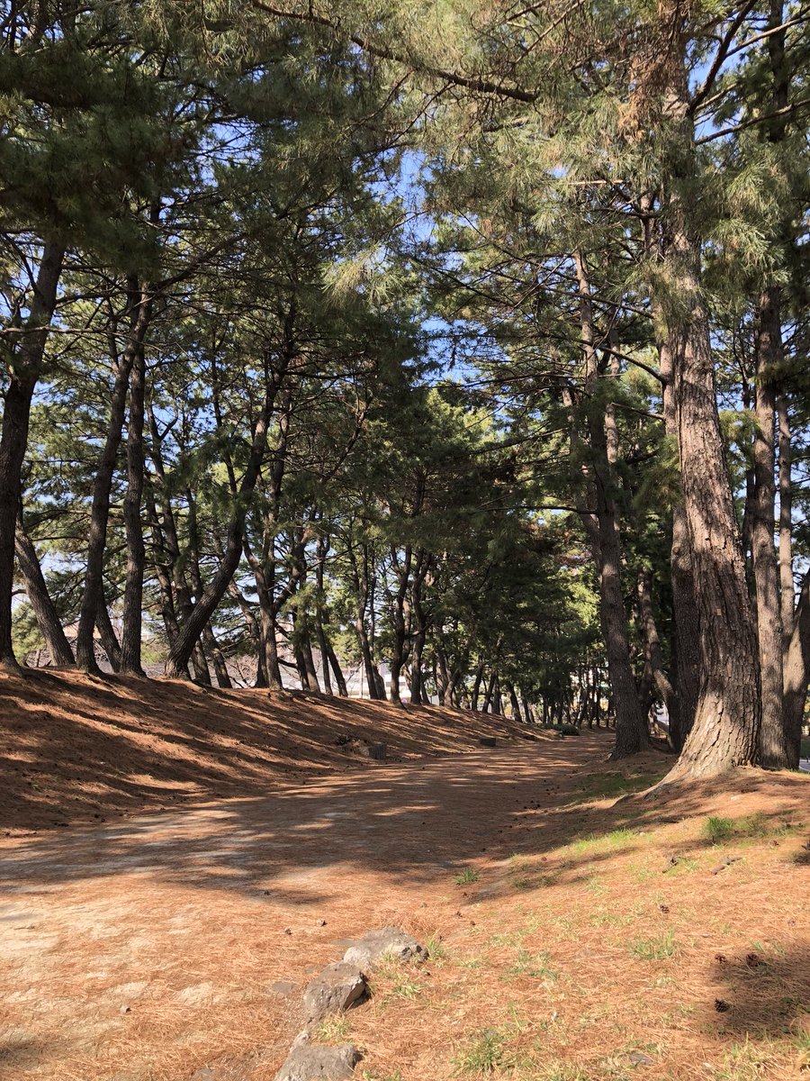 若松夜王シリーズに行ってきます。
個性派に挑んで勝負してきます！✊🏻