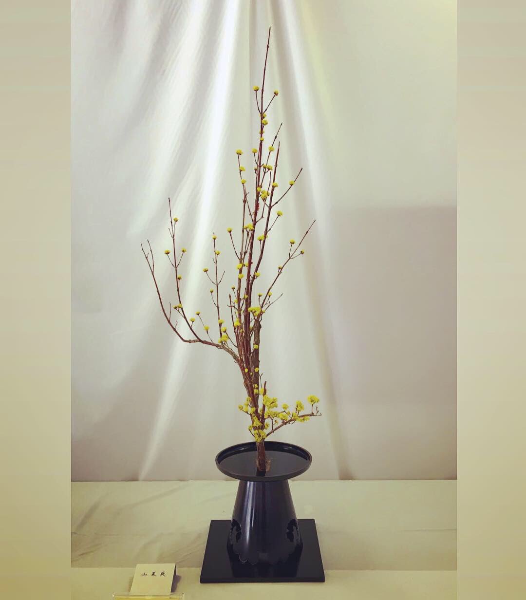 華道 池坊 Twitter