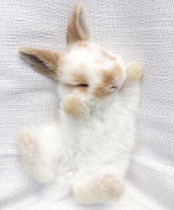 cutekidneverdie's tweet photo. #이거박지훈 https://t.co/LlBQNXfTwd
