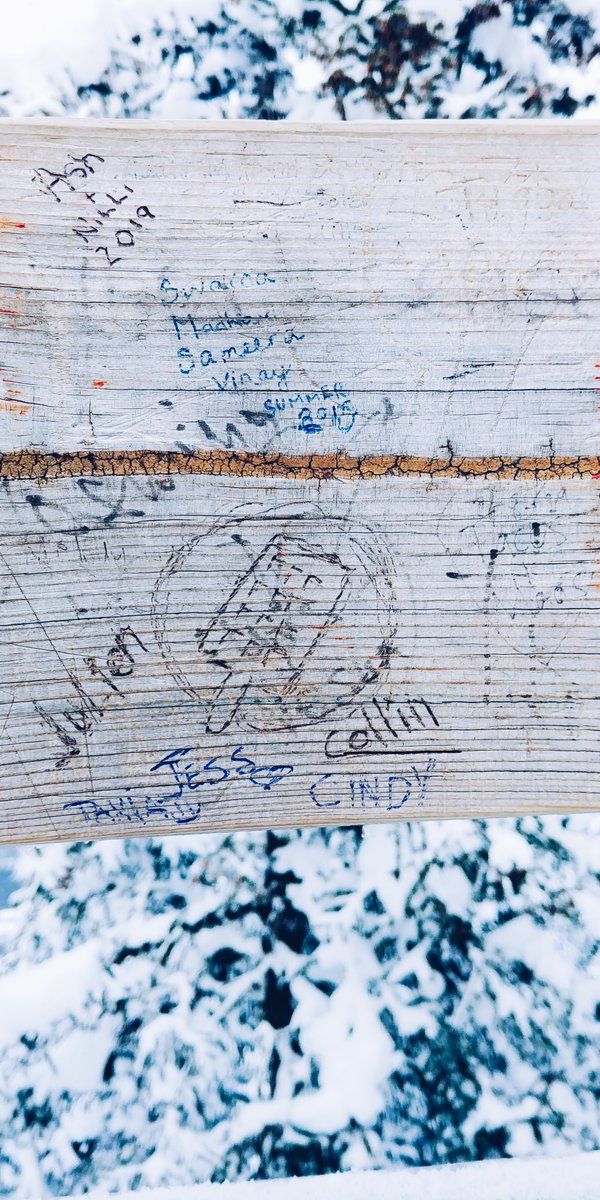 Jessica_Bran's tweet photo. Found your mark and added some more love 🇨🇦���️✨- Jess, Tania &amp; Cindy @juliensolomita @waffsicle @LoboExplosivo #lastminutetrips #waffsicle #Banff #ohcanada https://t.co/oB5susDnUQ
