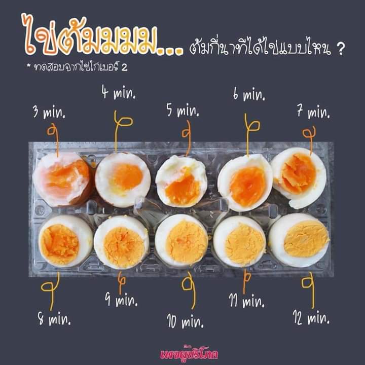 ฉันจะสวย tweet media