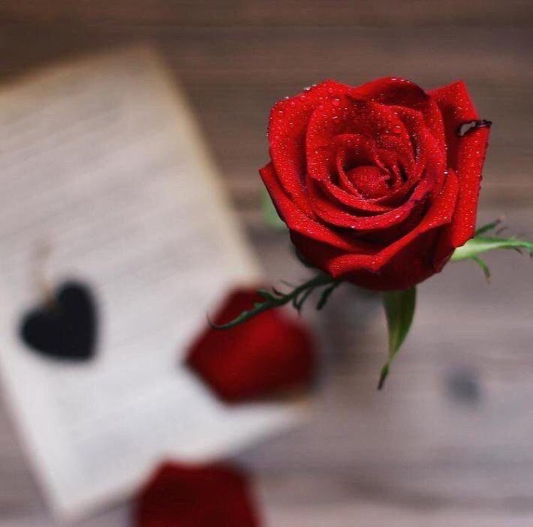 صدق المشاعر تصنع انسان شاعر
والناس دايم ... تنتظر وش جديده

عينه تشوف .. ان القصايد مشاعر
وهم يشوفون إن المشاعر قصيده