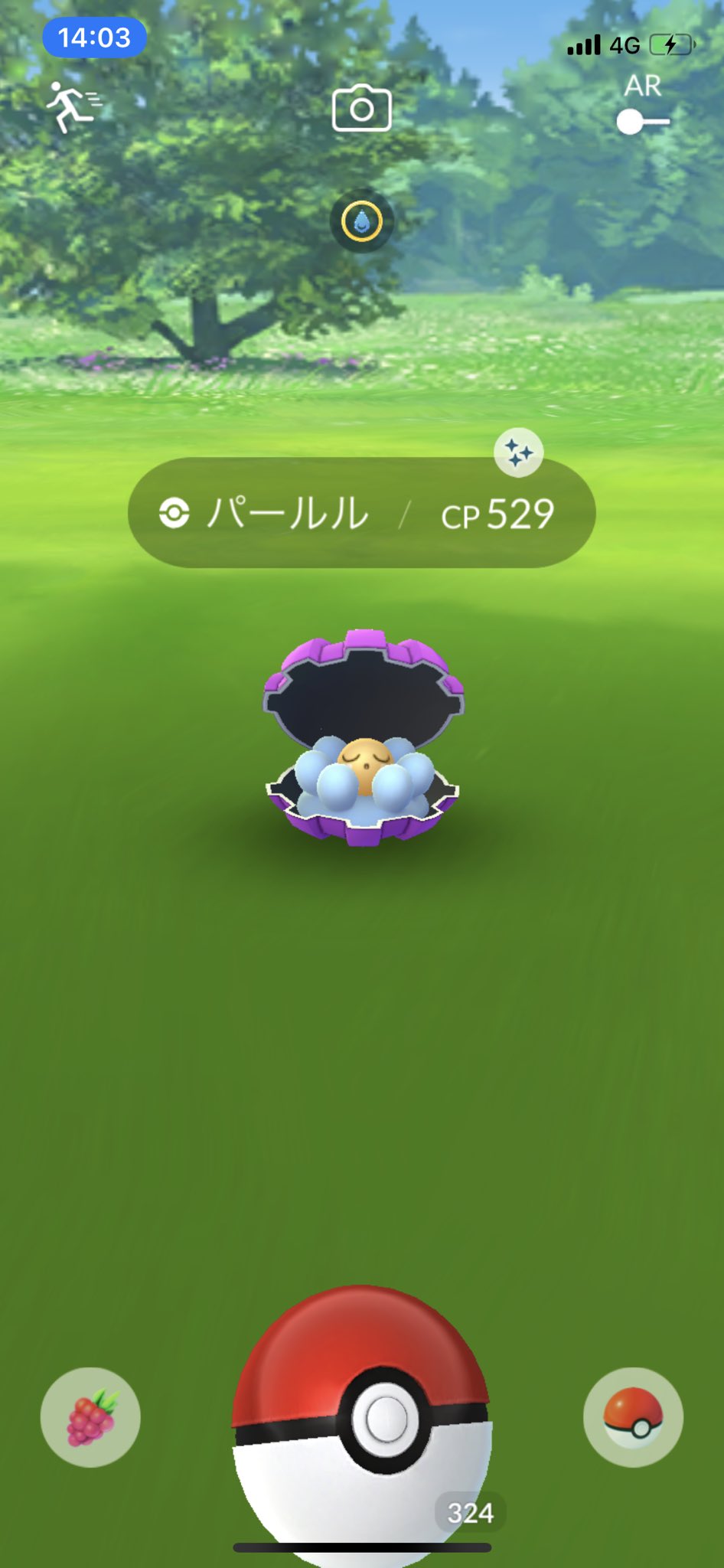 Cutie Maril Pokemon Go Key1975h Twitter