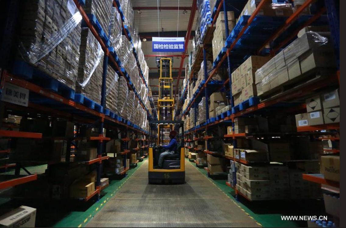 Vesalius on Twitter: 