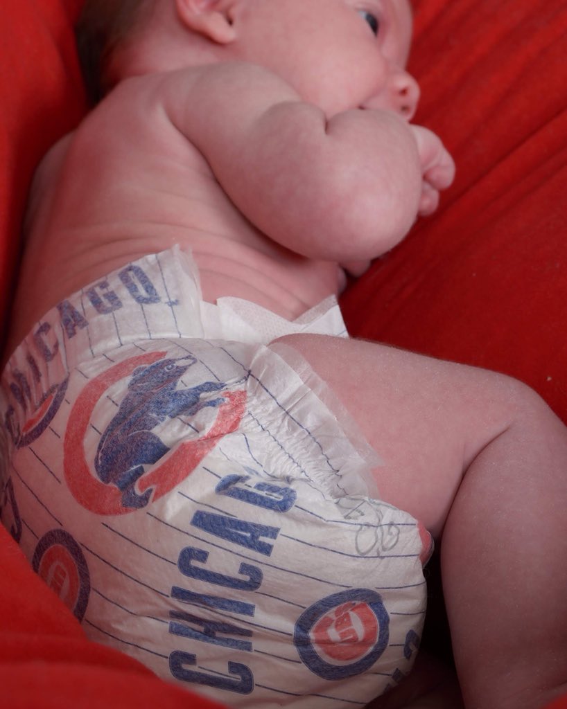 honest company cubs diapers
