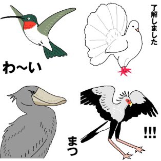 鳥スタンプの第2弾を作ってます。もっと使いやすいやつ。
カタカケフウチョウいます〜! 