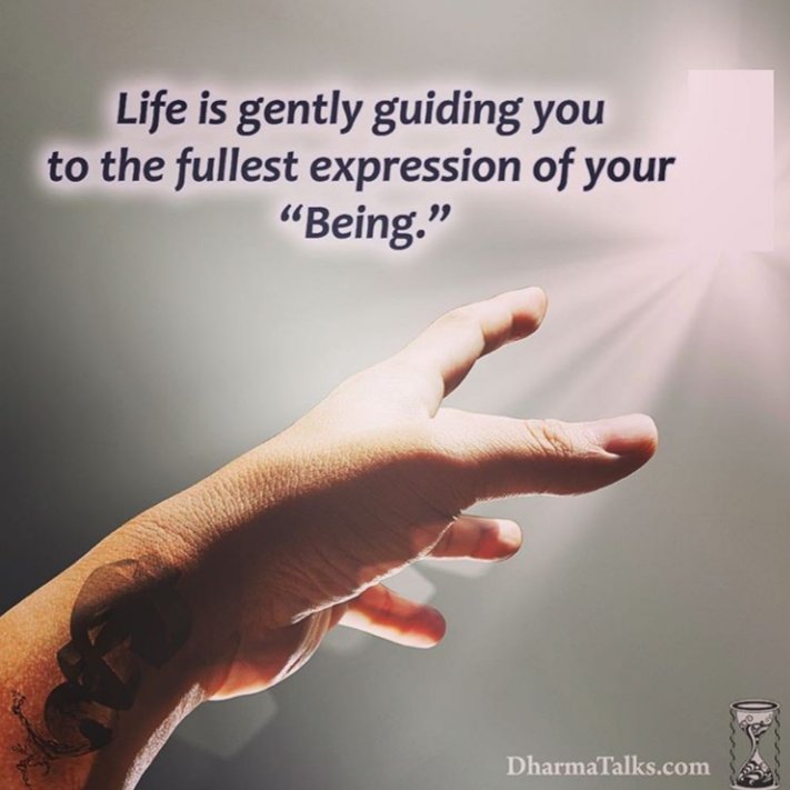 Marietta117's tweet photo. #LifeSignals #SundayThoughts 🙃 https://t.co/dOupiVeY2Y