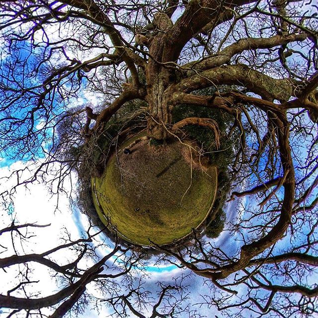 eatsleep360's tweet photo. One of the ancient oak trees in Fritham, The New Forest..
..
..
Taken with @insta360 ONE X
..
#Global_creatives
#Planet_earth_shots
#Nature_worldwide_trees
#ig_fotogramers #treephotos #treephotography #forestphotography #oaktree #ancientoaks #treelovers #tree_magic #tinyplan… https://t.co/8veVGbKDdG